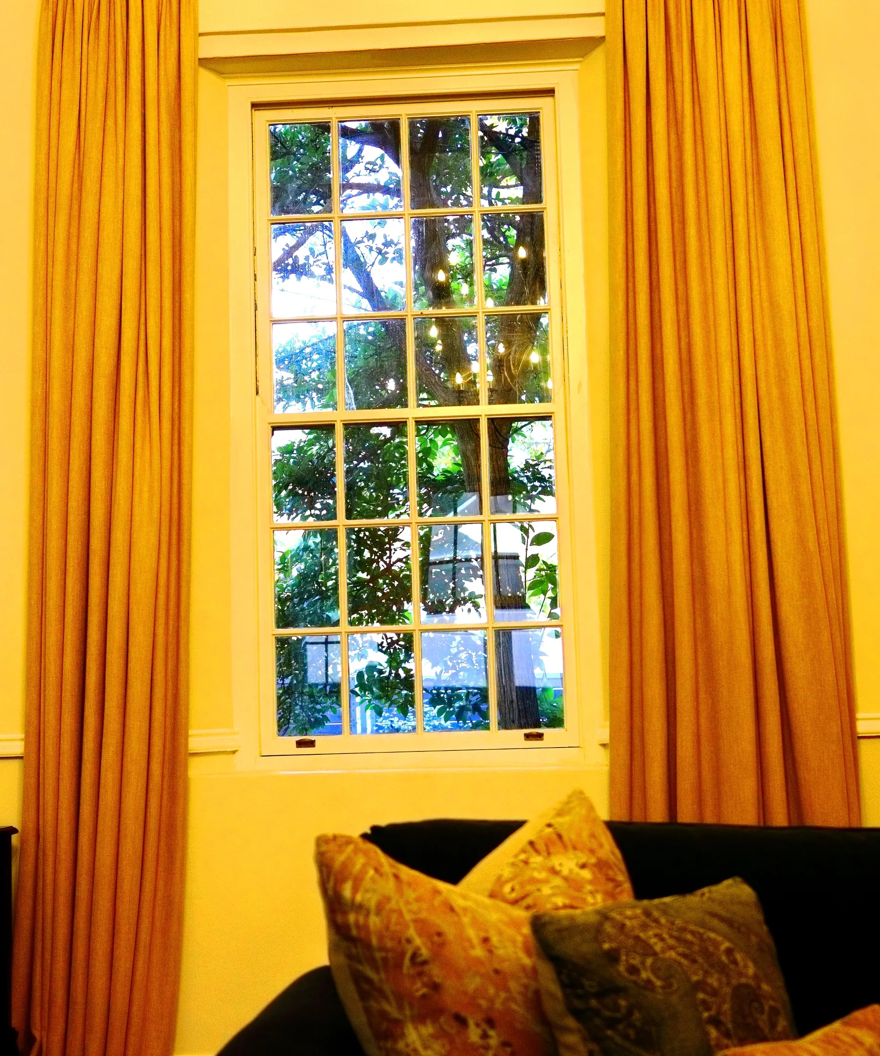 Books with a view — photograph by Telford Vice