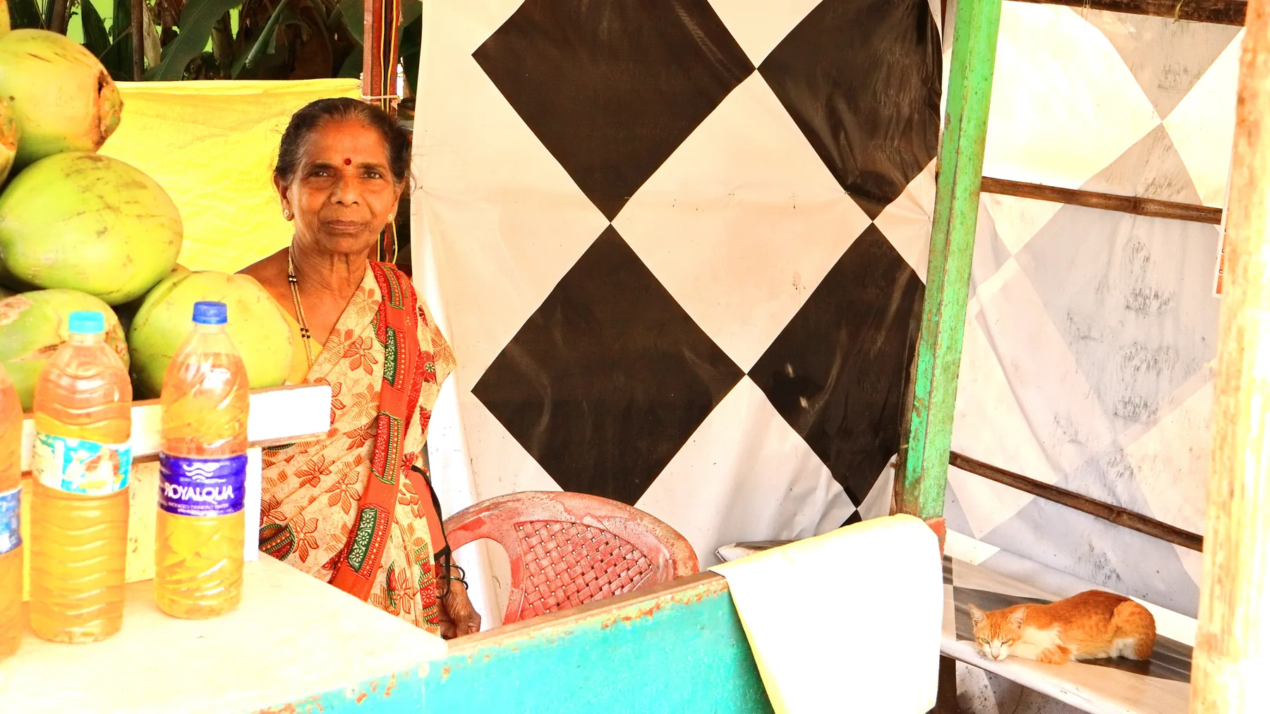 Extraordinary ordinary India — photograph by Telford Vice