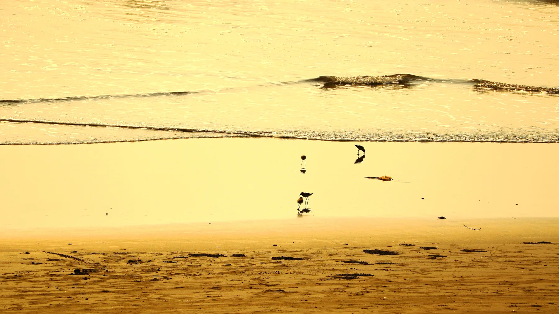 Extraordinary ordinary India — photograph by Telford Vice