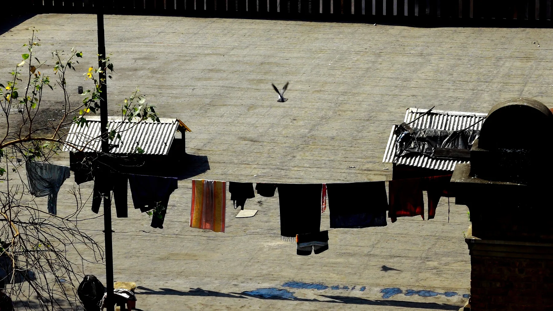 Extraordinary ordinary India — photograph by Telford Vice