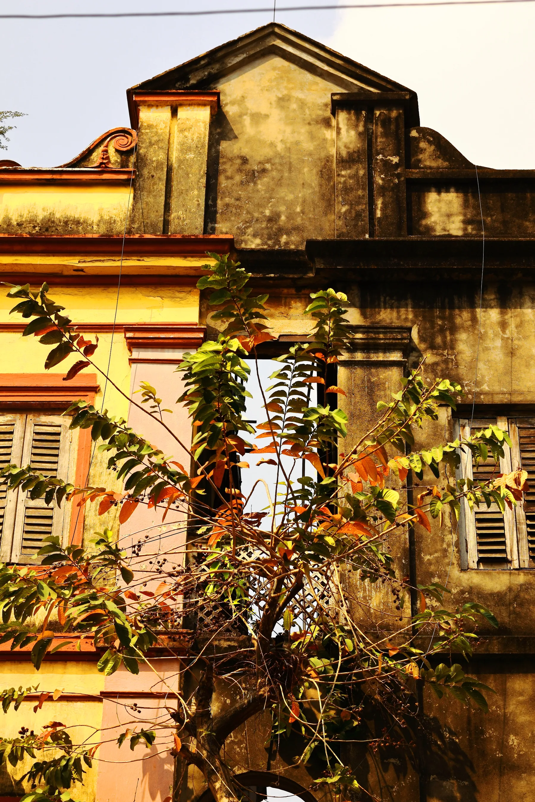Extraordinary ordinary India — photograph by Telford Vice