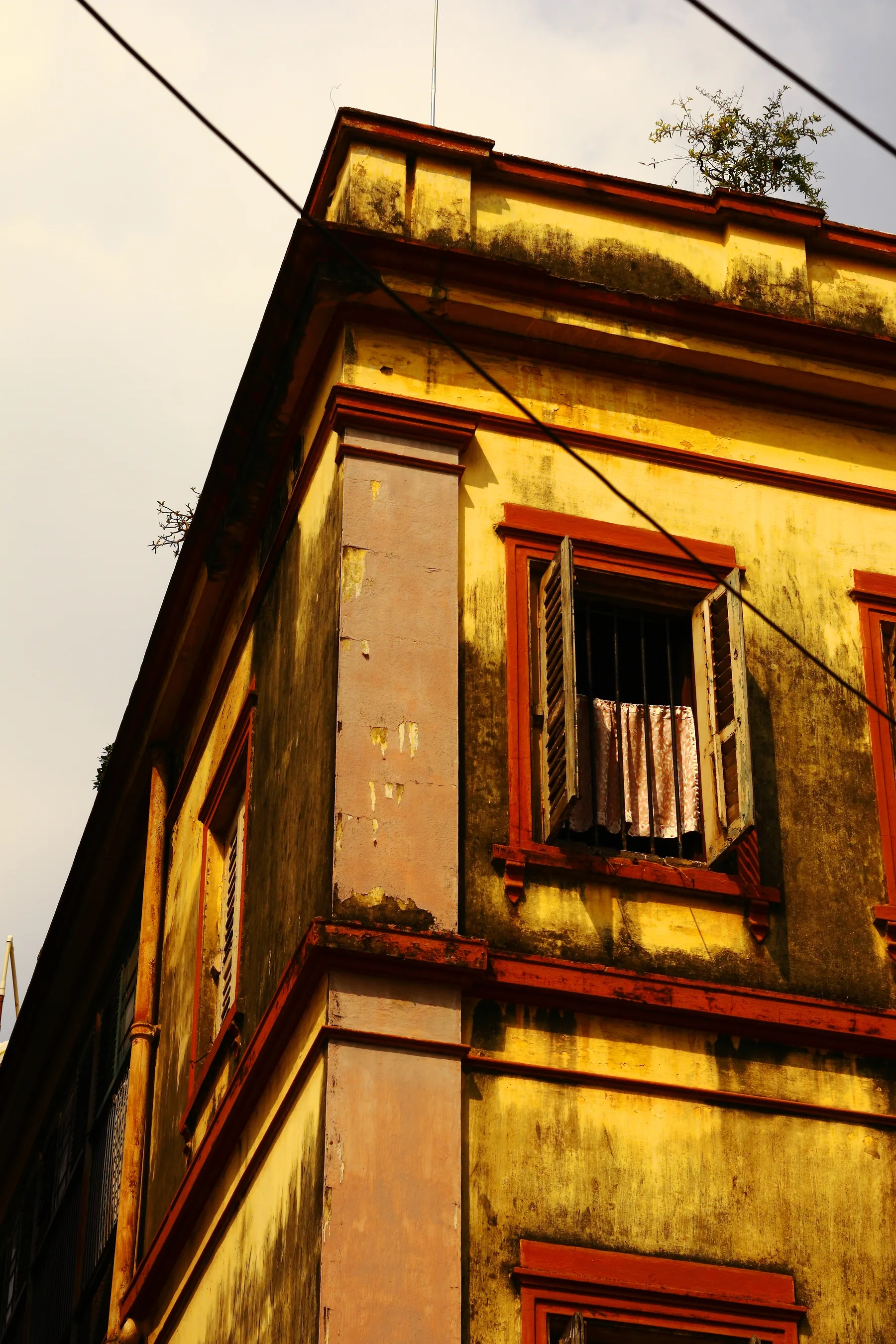 Extraordinary ordinary India — photograph by Telford Vice