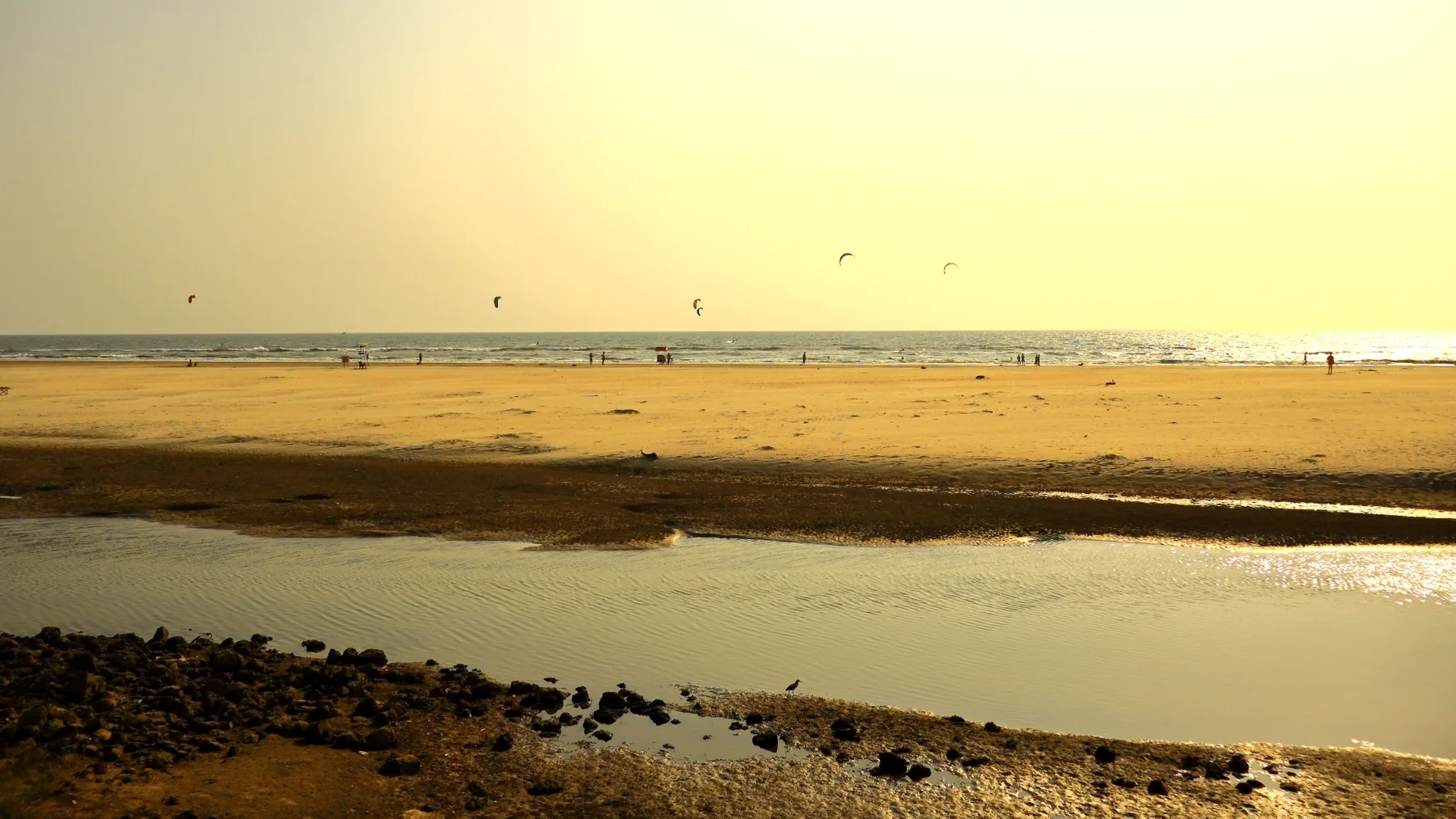Goa way — photograph by Telford Vice
