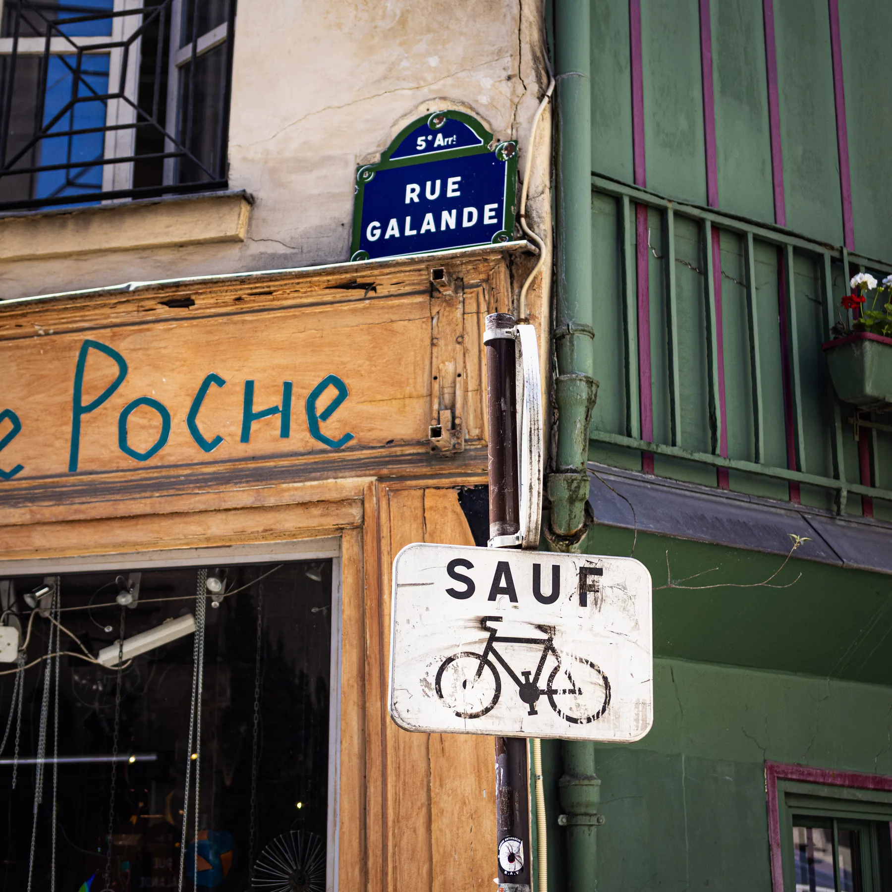 "Paris is always a good idea." — photograph by Telford Vice