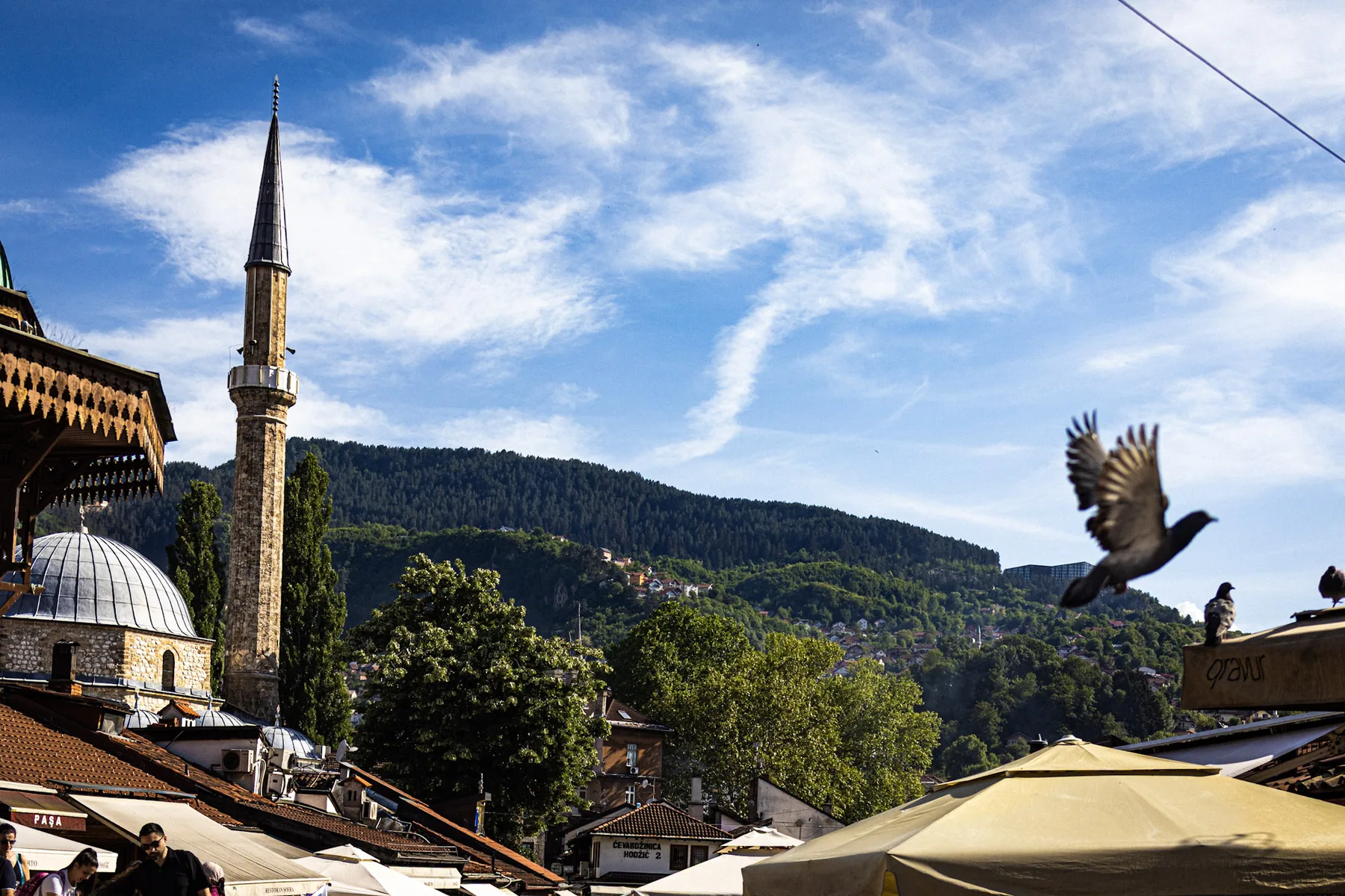 Sarajevo & Mostar: Echoes of hate, badges of courage, where the past is present