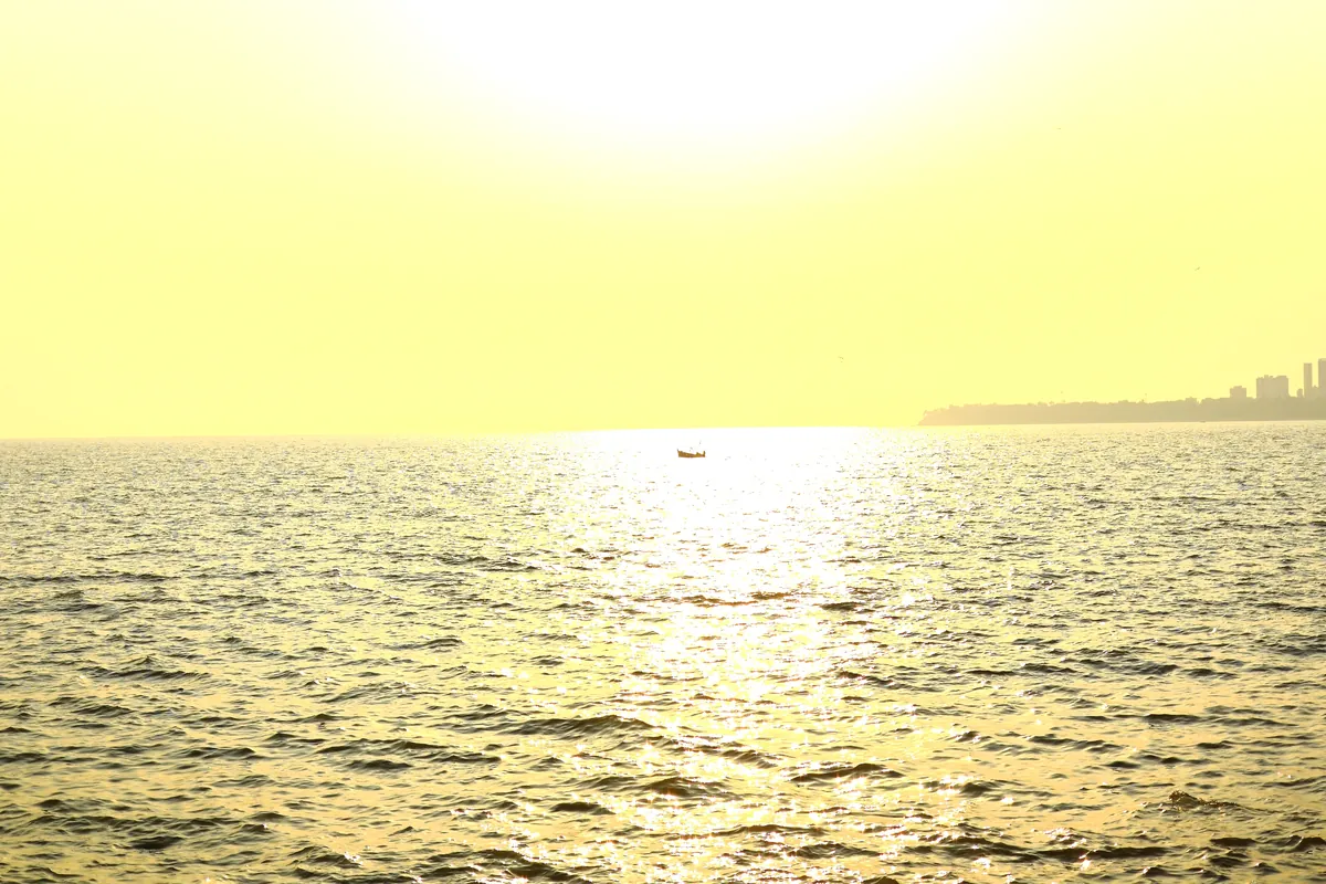 To the water's edge